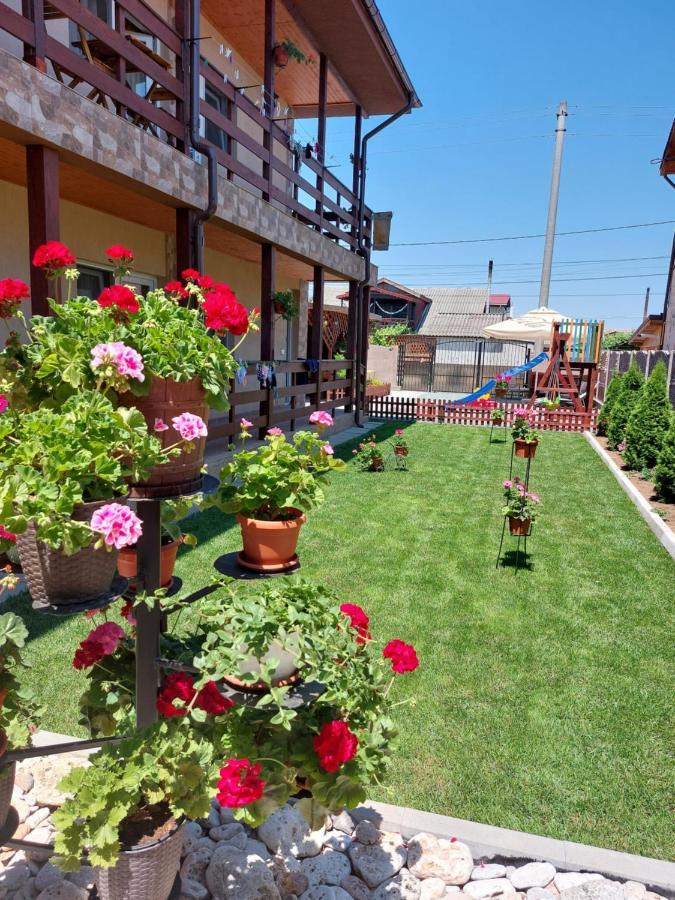 Casa Olimpia 2 Mai Hotel Bagian luar foto